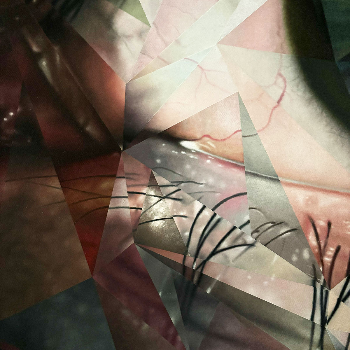 Obscured Oil Painting Detail by Jesse Schomers